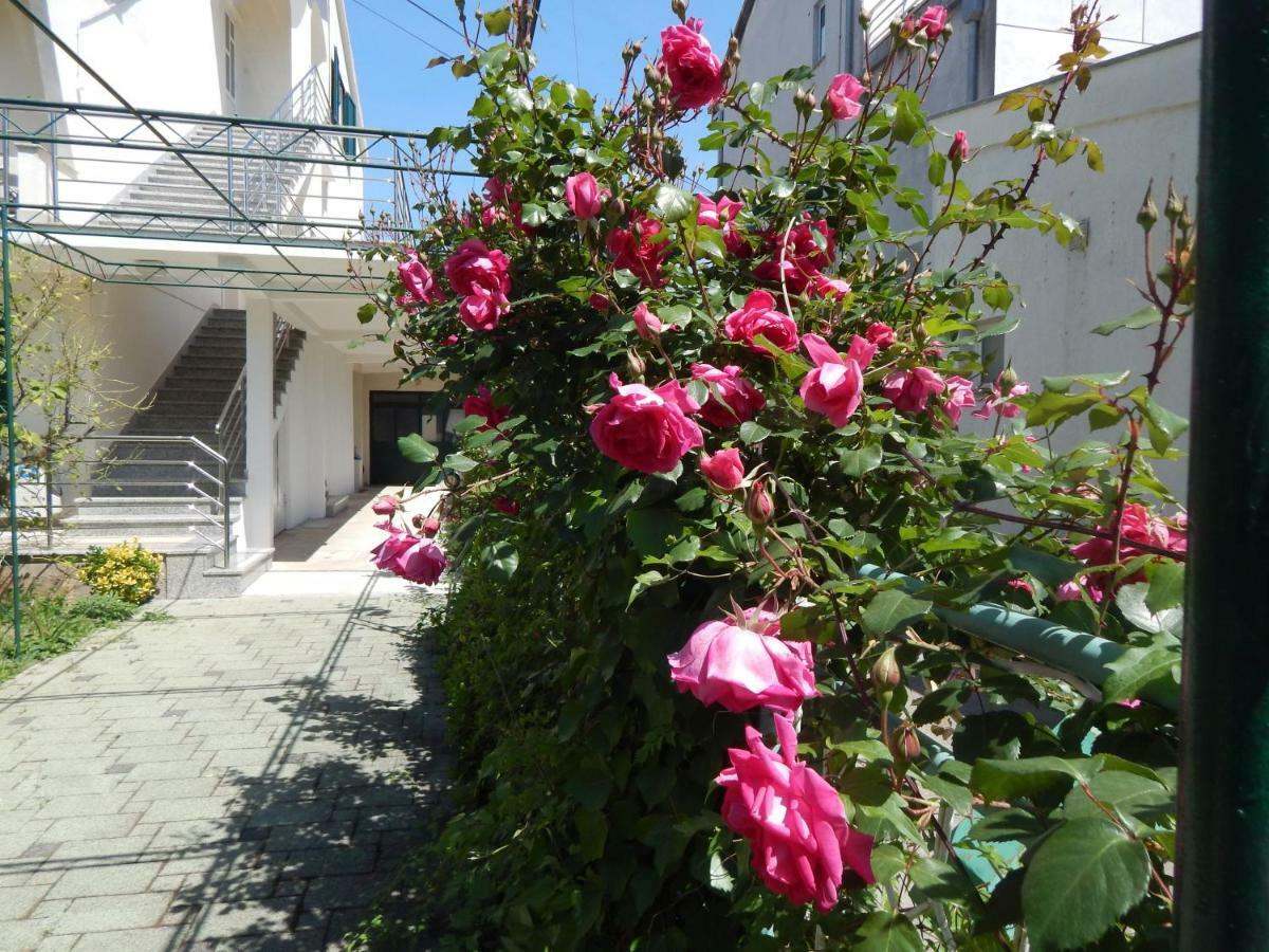 Lemon Tree Apartments Zadar Exterior photo